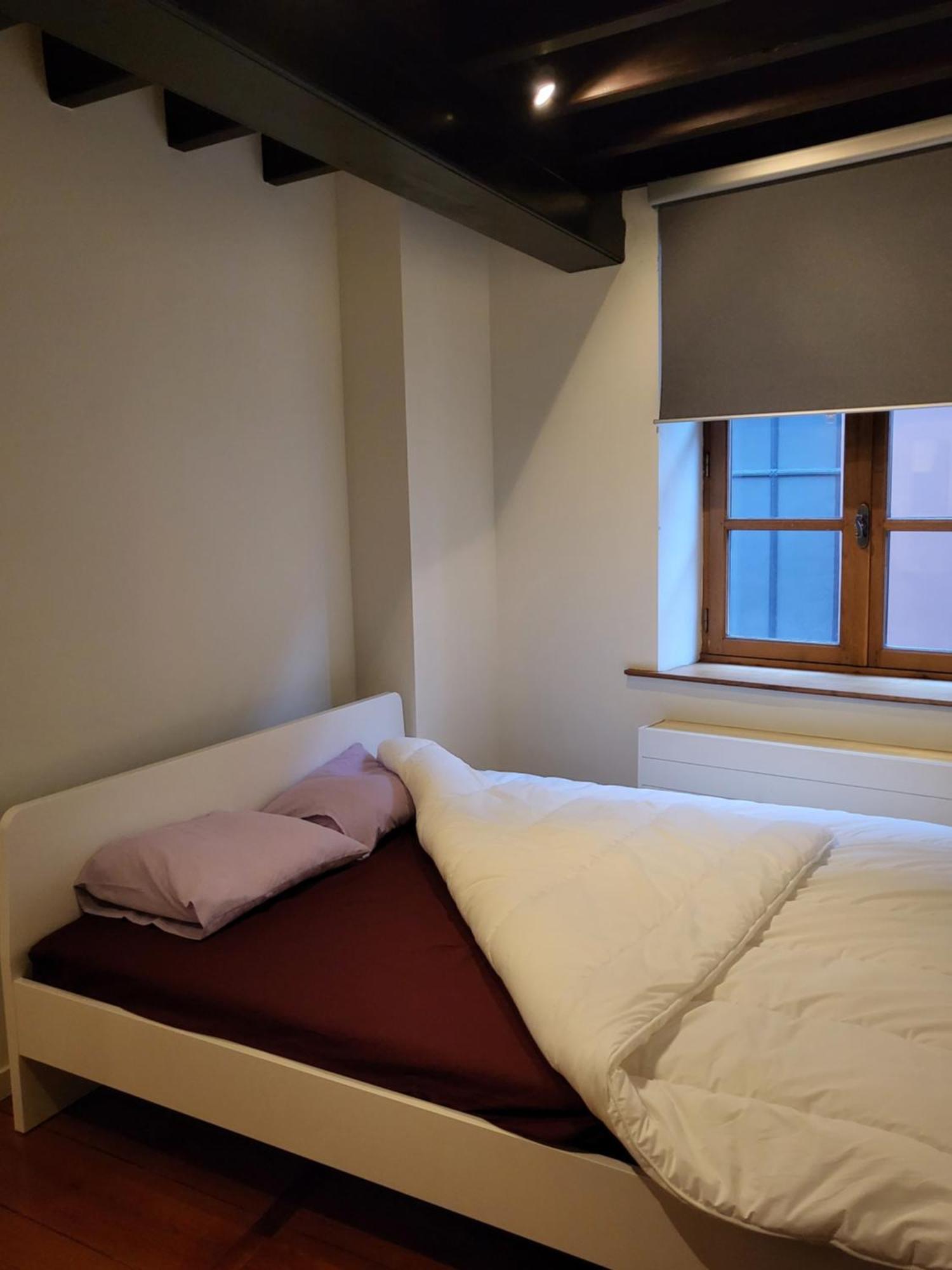 Viktoria Hostel Antwerpen Værelse billede